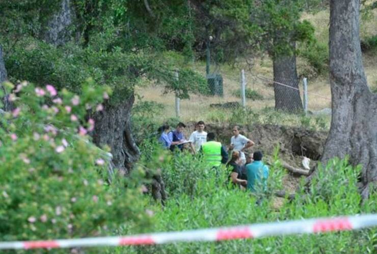 Imagen de Dos niños murieron aplastados por un árbol a orillas del Lago Lacar