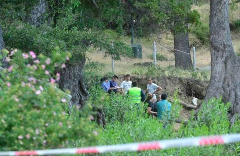 Imagen de Dos niños murieron aplastados por un árbol a orillas del Lago Lacar