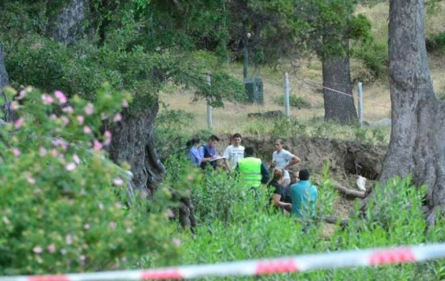 Imagen de Dos niños murieron aplastados por un árbol a orillas del Lago Lacar