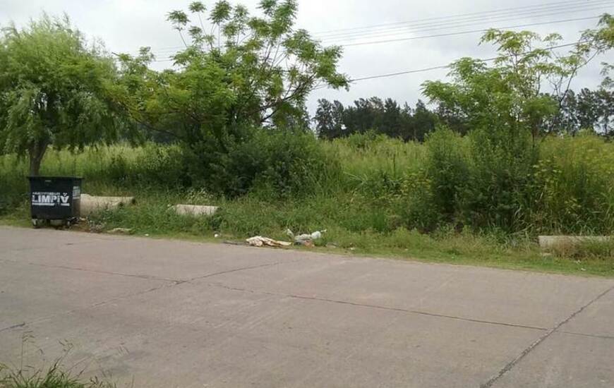 Calle Aníbal Maffei.