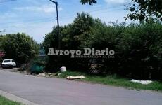 Los vecinos afirman que los ladrones suelen esconderse detr&aacute;s de los lugustrines.