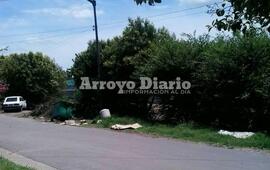 Los vecinos afirman que los ladrones suelen esconderse detrás de los lugustrines.