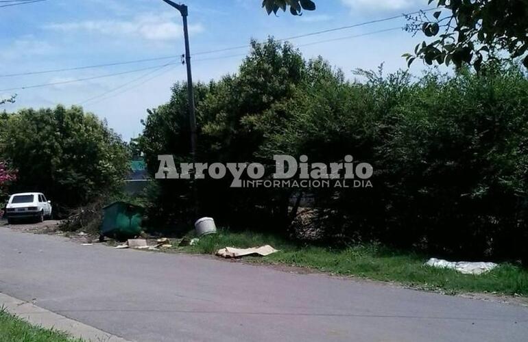 Los vecinos afirman que los ladrones suelen esconderse detr&aacute;s de los lugustrines.