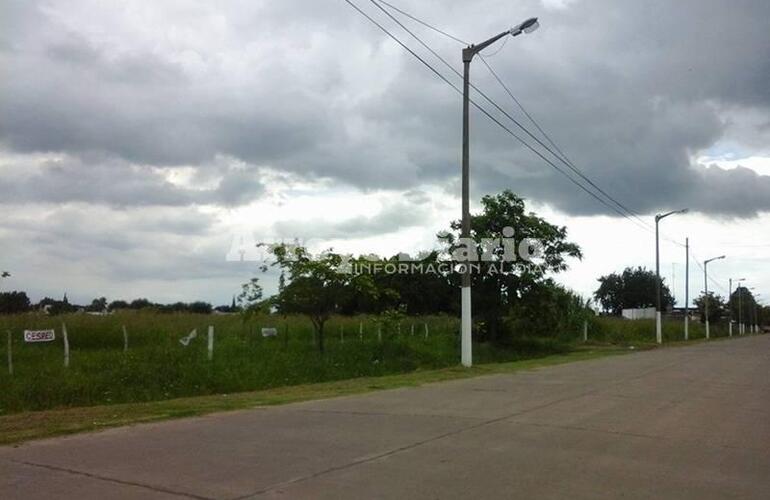 Así quedó parte de la extensión de la calle que lleva al Rowing Club.