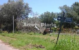 Bomberos Voluntarios y Gaboto.