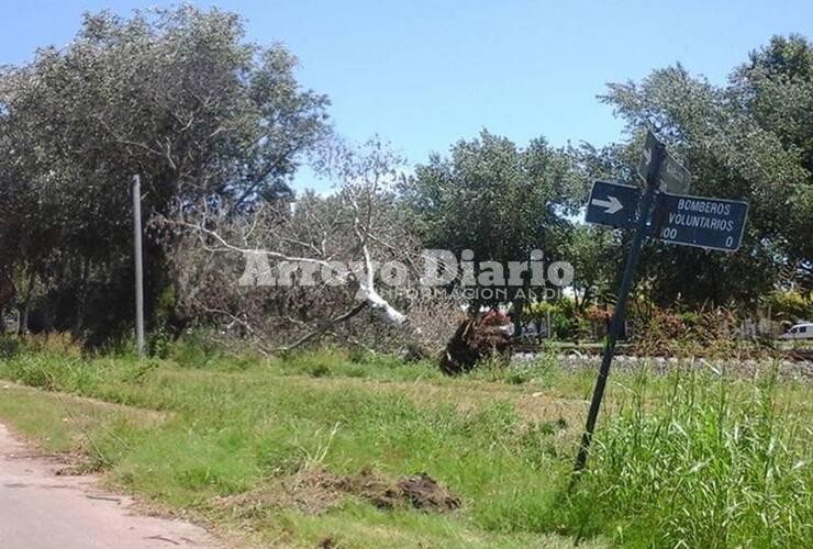 Bomberos Voluntarios y Gaboto.