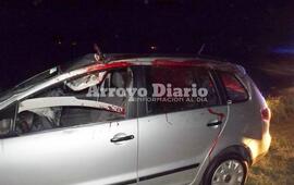 Así quedó el vehículo tras el impacto contra el animal.