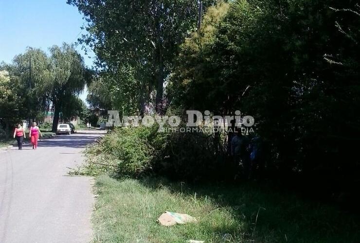 Los empleados municipales trabajando en el lugar.