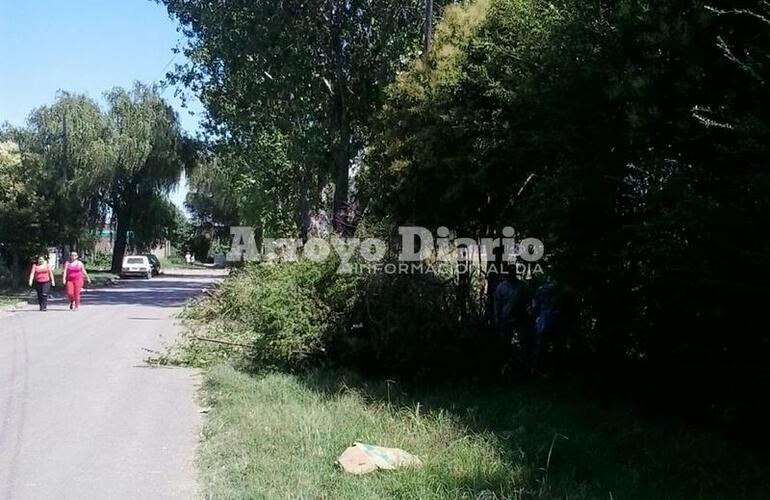 Los empleados municipales trabajando en el lugar.