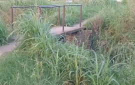 Las fotos fueron enviadas por una vecina.