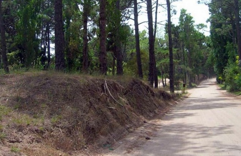 Imagen de Un nene falleci&oacute; cuando se encontraba en un cuatriciclo