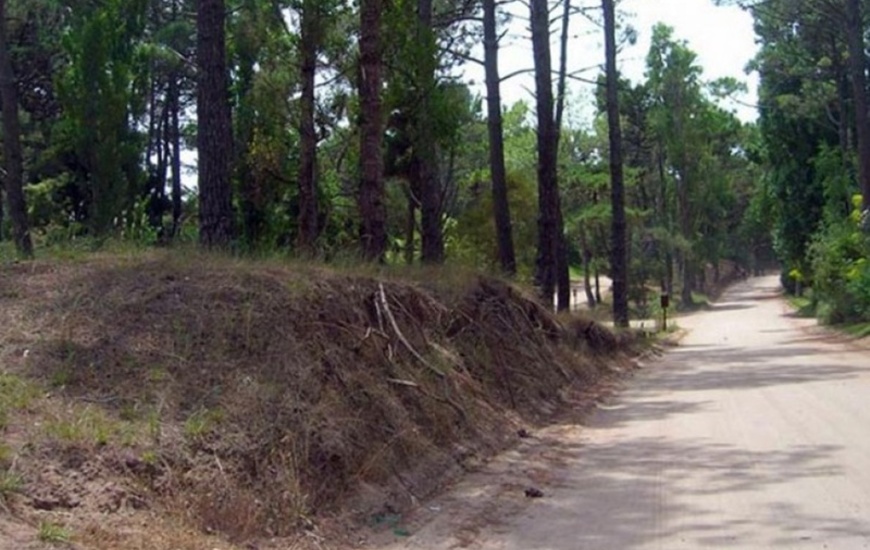 Imagen de Un nene falleci&oacute; cuando se encontraba en un cuatriciclo