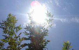 Sol a pleno desde temprano este sábado.