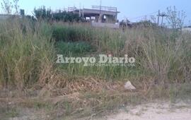 Fotos: Jorge Cuello (h)