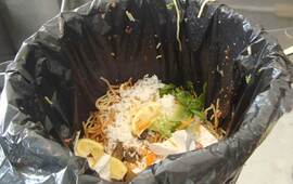 Foto: Imagen Ilustrativa