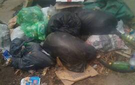 Si quer&eacute;s enviar tu foto, pod&eacute;s contactarte con nosotros por correo electr&oacute;nico (info@arroyodiario.com.ar) o trav&eacute;s de WhatsApp al 3416570835