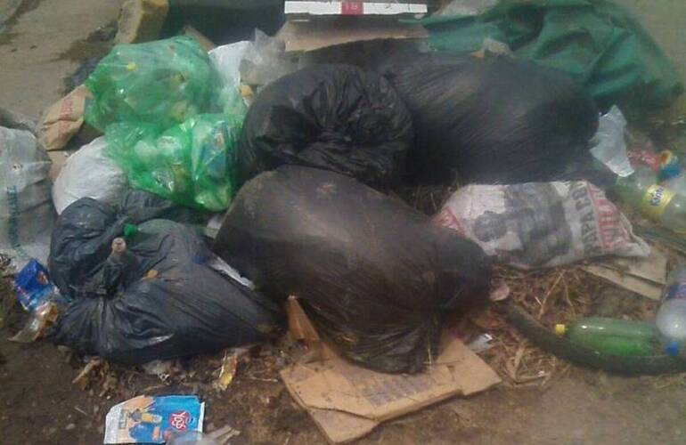 Si quer&eacute;s enviar tu foto, pod&eacute;s contactarte con nosotros por correo electr&oacute;nico (info@arroyodiario.com.ar) o trav&eacute;s de WhatsApp al 3416570835