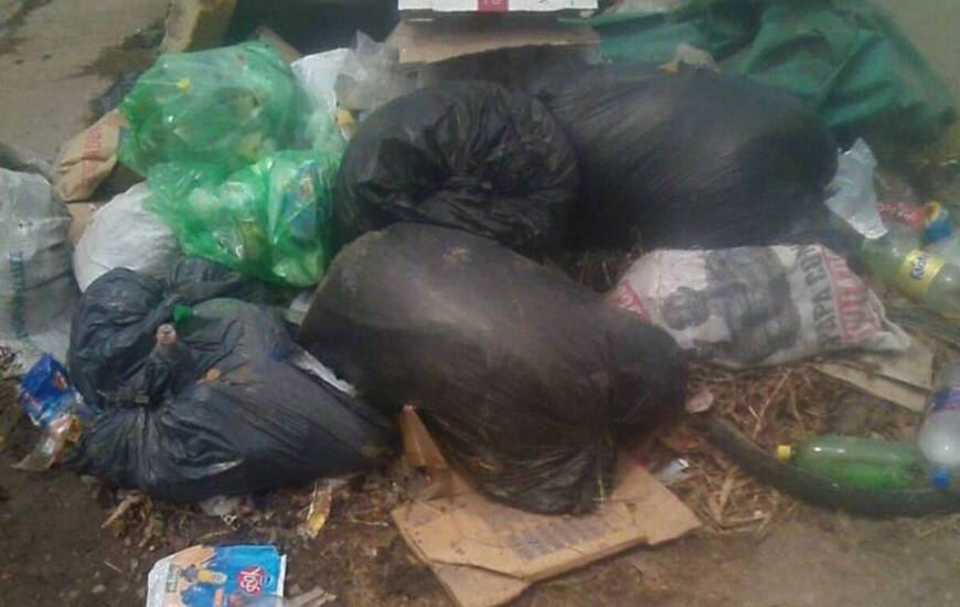 Si quer&eacute;s enviar tu foto, pod&eacute;s contactarte con nosotros por correo electr&oacute;nico (info@arroyodiario.com.ar) o trav&eacute;s de WhatsApp al 3416570835