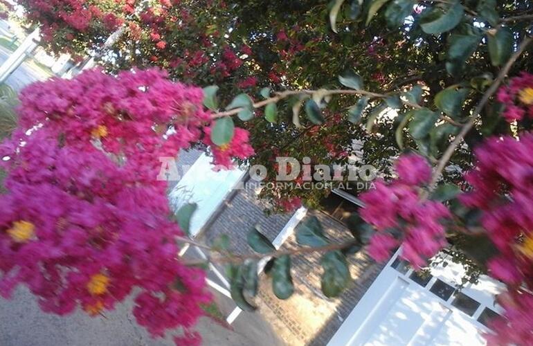 Imagen de Sube y sube la temperatura