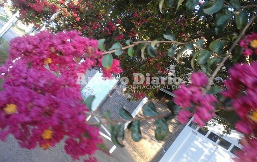 Imagen de Sube y sube la temperatura