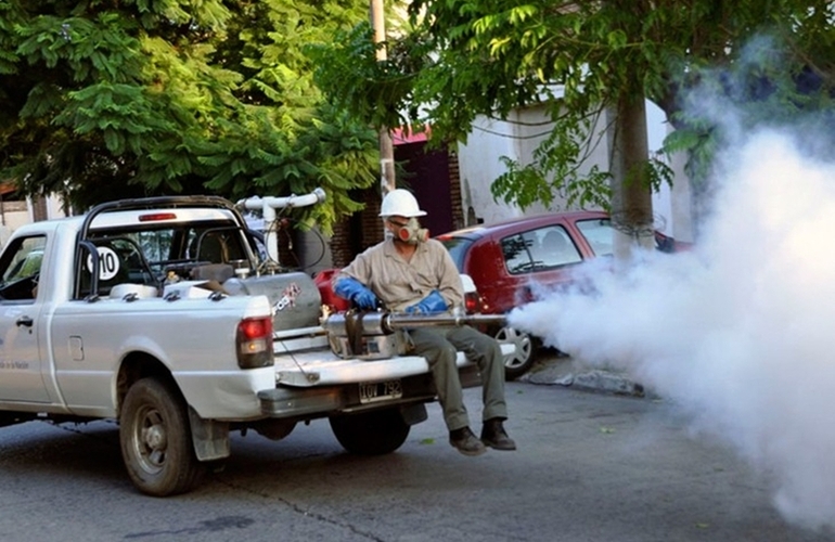 Imagen de Dengue: refuerzan prevención