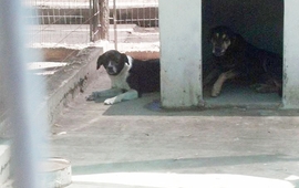 Foto: Imagen Ilustrativa. Facebook Anyii Moreiras