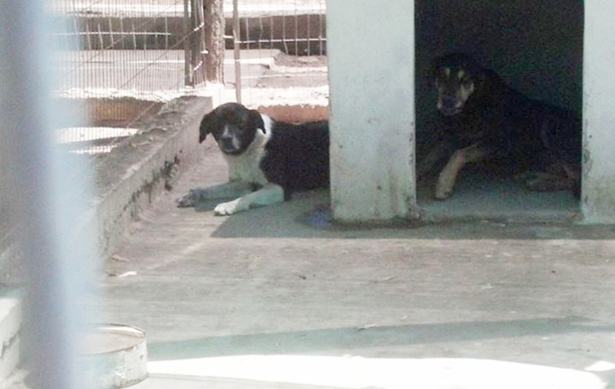 Foto: Imagen Ilustrativa. Facebook Anyii Moreiras