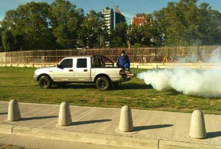 El equipo de vectores de la Municipalidad trabaja en el control de plagas.