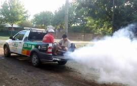 Imagen de Pueblo Esther está realizando tareas de fumigación contra los mosquitos