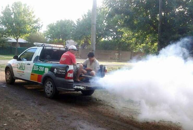 Imagen de Pueblo Esther está realizando tareas de fumigación contra los mosquitos