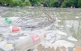 Imagen de Rosario: Proponen desagotar el Laguito y otras fuentes por el dengue