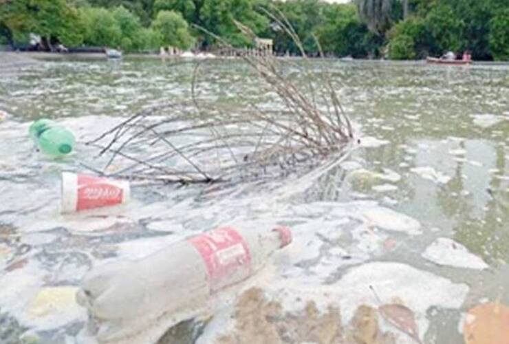 Imagen de Rosario: Proponen desagotar el Laguito y otras fuentes por el dengue