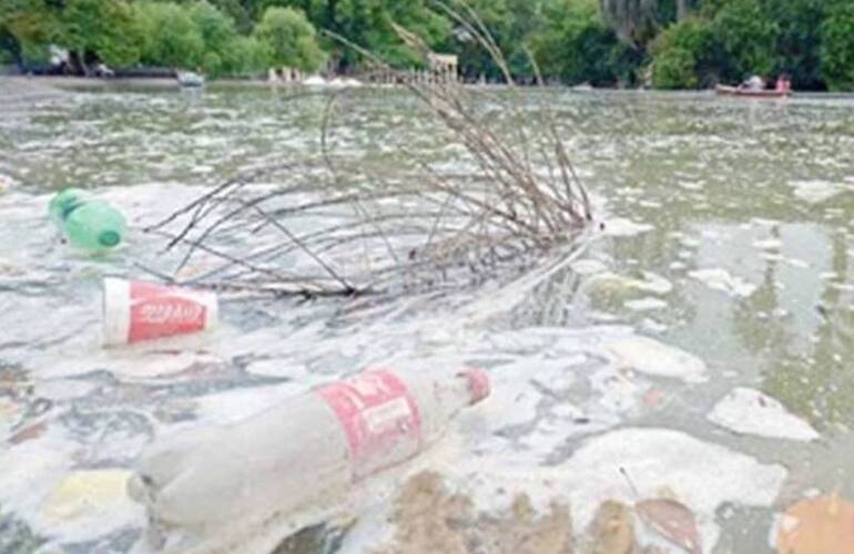 Imagen de Rosario: Proponen desagotar el Laguito y otras fuentes por el dengue