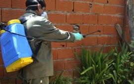 Las tareas del municipio contin&uacute;an en las zonas donde se detectan los casos. Foto: Virginia Benedetto / La Capital