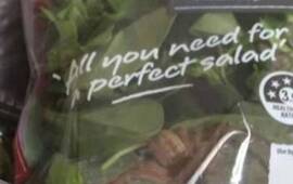 La pareja se percat&oacute; del letal intruso al llegar a su domicilio.