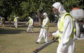 Imagen de Corrientes confirmó 146 casos de dengue
