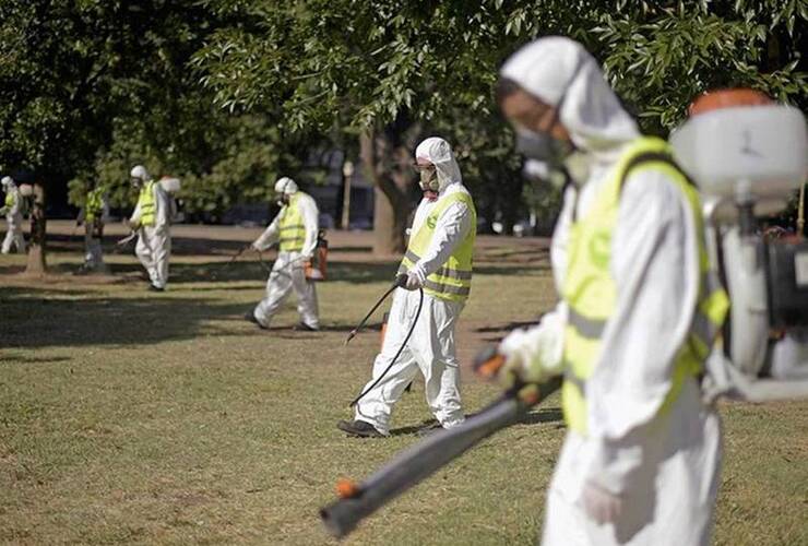 Imagen de Corrientes confirmó 146 casos de dengue