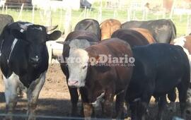 Foto: Imagen Ilustrativa