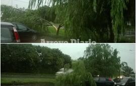 Foto: Juan Pablo Broin