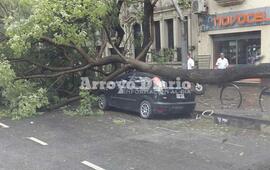 Fotos: Florencia D&acute;Alonzo