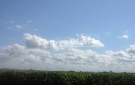Imagen de Cielo bien celeste y calor para este domingo