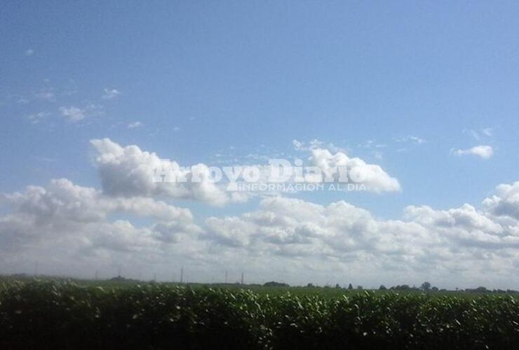 Imagen de Cielo bien celeste y calor para este domingo