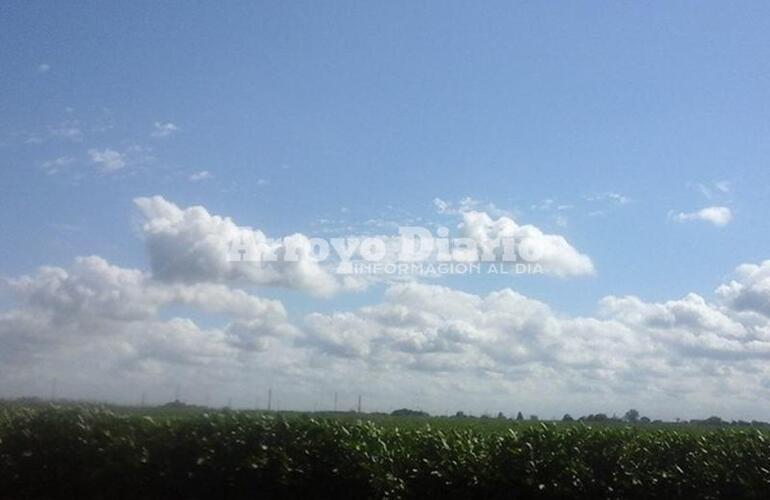 Imagen de Cielo bien celeste y calor para este domingo