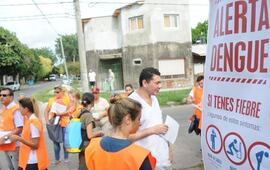 Imagen de En la provincia, hay 201 casos confirmados de dengue