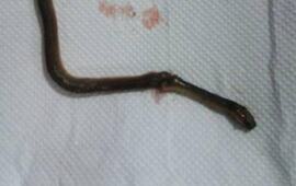 La foto fue tomada por los vecinos