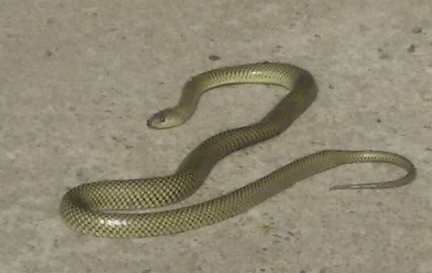 Imagen de �Me dio mucho miedo�