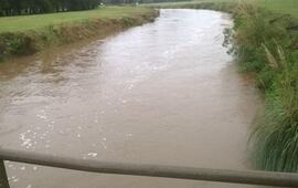 La zona del Saladillo se vio afectada por la crecida.