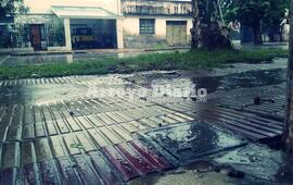 Foto: Gonzalo Torres.