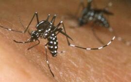 C&oacute;rdoba. Hasta el momento, se han registrado dos casos en la Provincia.