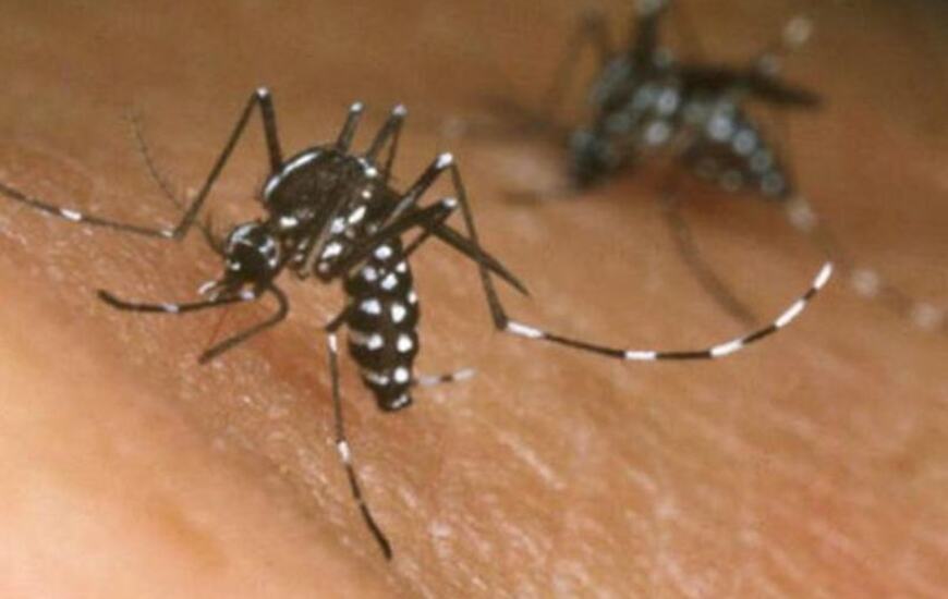 C&oacute;rdoba. Hasta el momento, se han registrado dos casos en la Provincia.